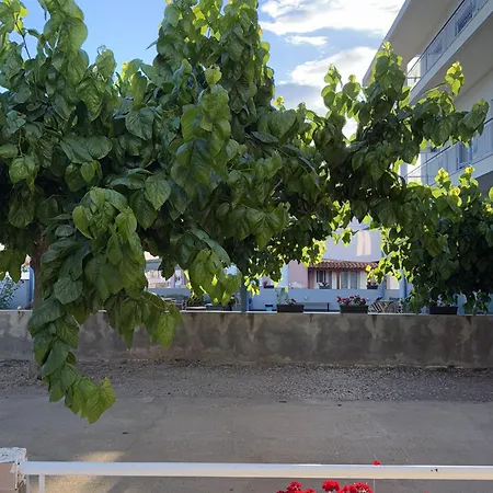 Thetis Iii, The House